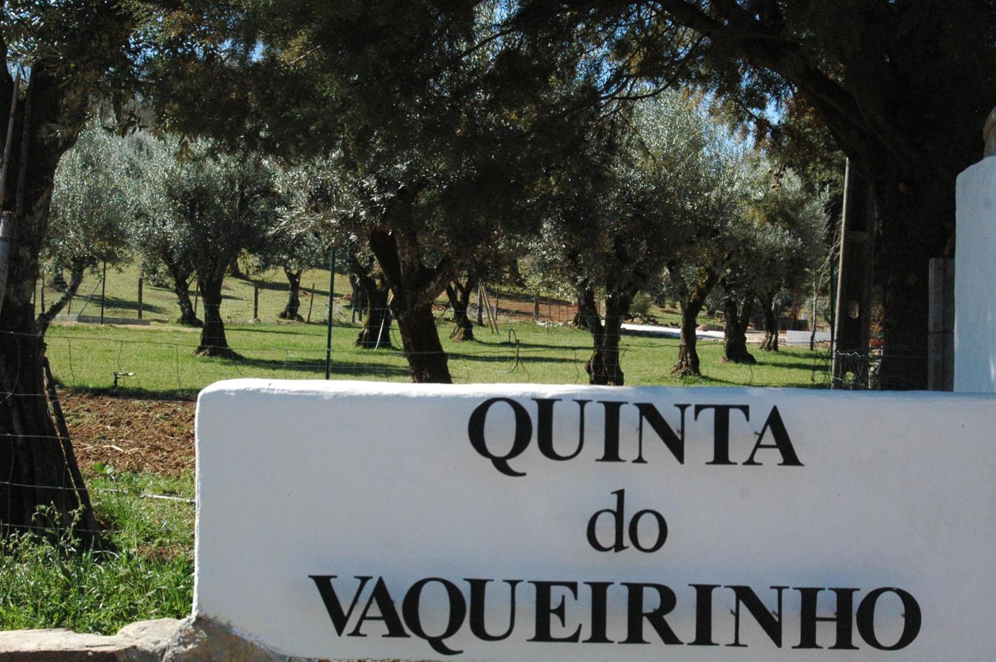 Вилла Quinta Do Vaqueirinho - Agro-Turismo Марван Экстерьер фото
