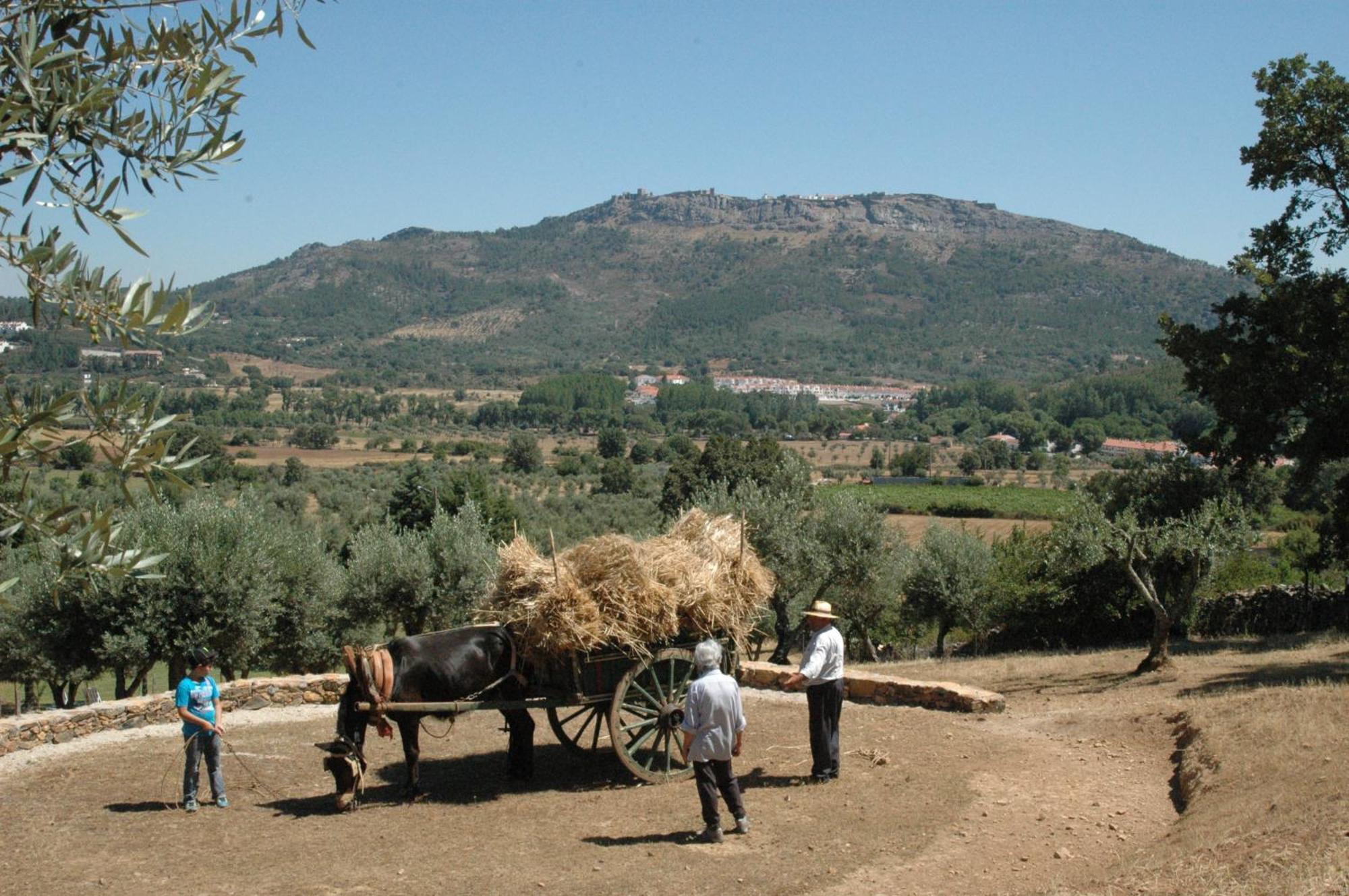 Вилла Quinta Do Vaqueirinho - Agro-Turismo Марван Экстерьер фото